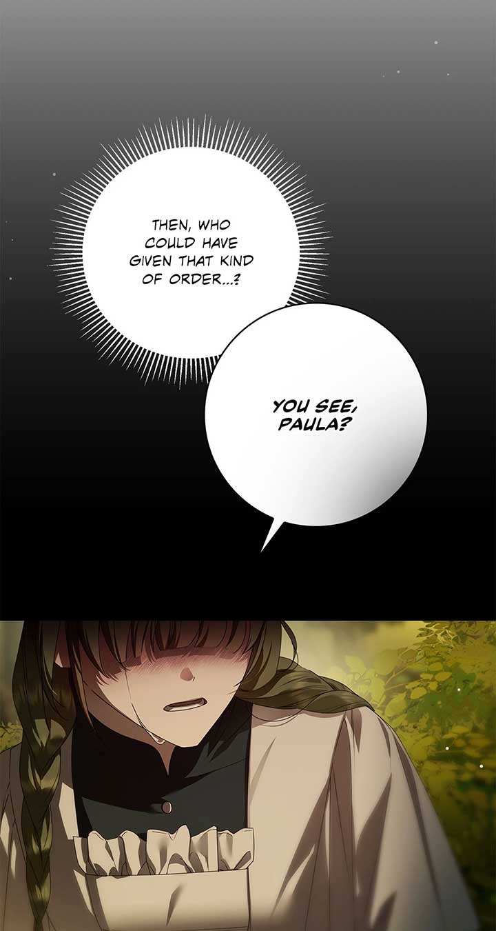 The Count’s Secret Maid Chapter 46 295 18