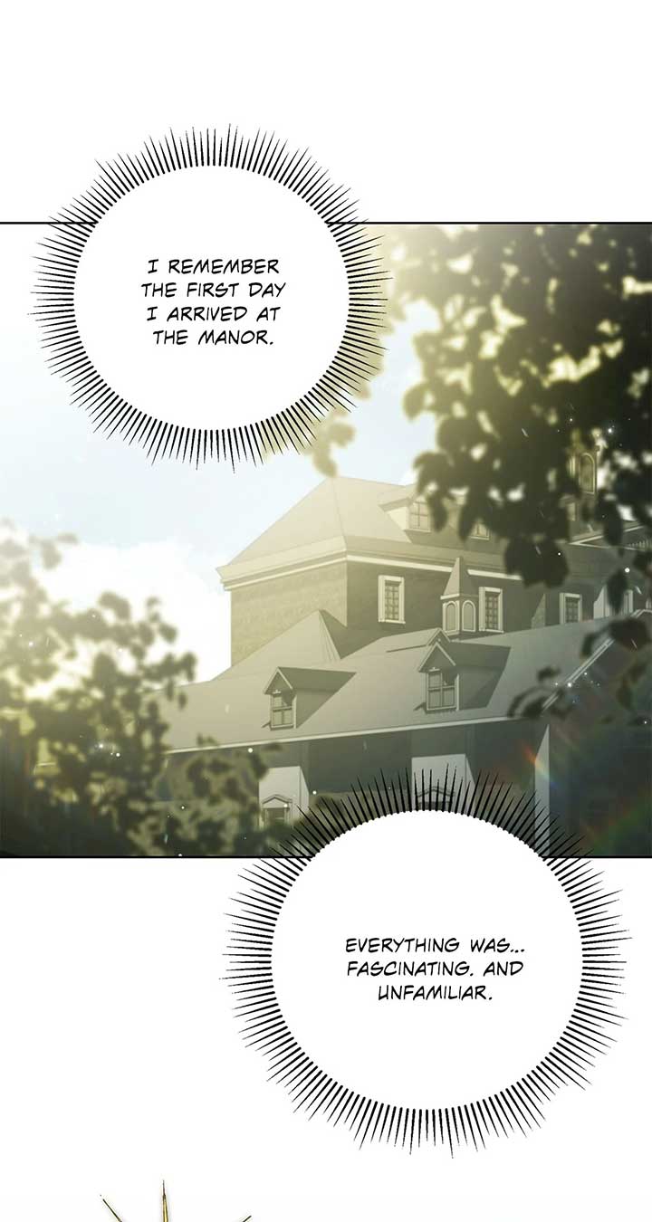 The Count’s Secret Maid Chapter 46 326 49