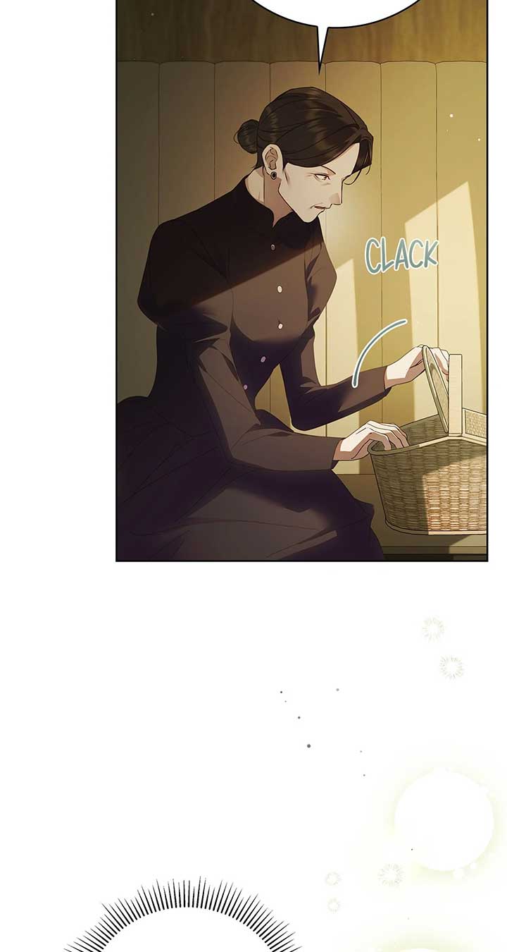 The Count’s Secret Maid Chapter 46 338 61