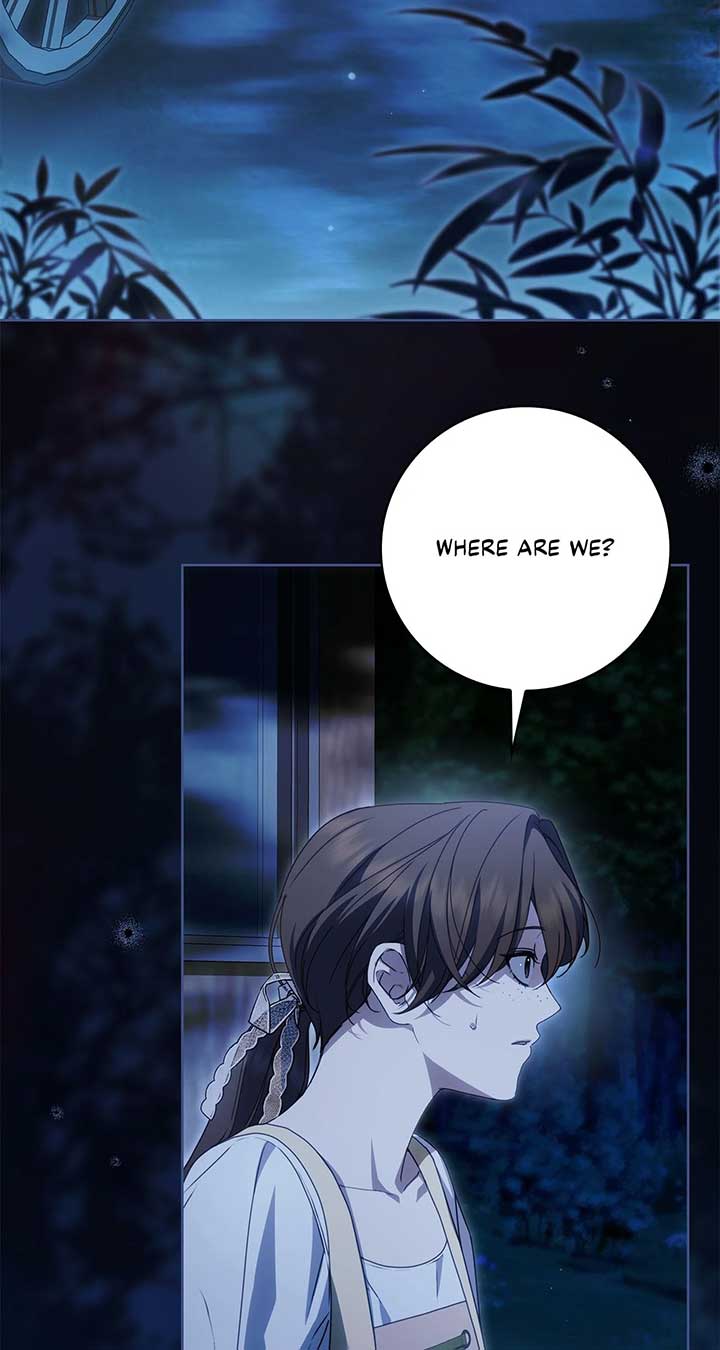 The Count’s Secret Maid Chapter 46 351 74