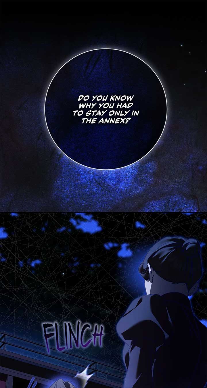 The Count’s Secret Maid Chapter 46 358 81