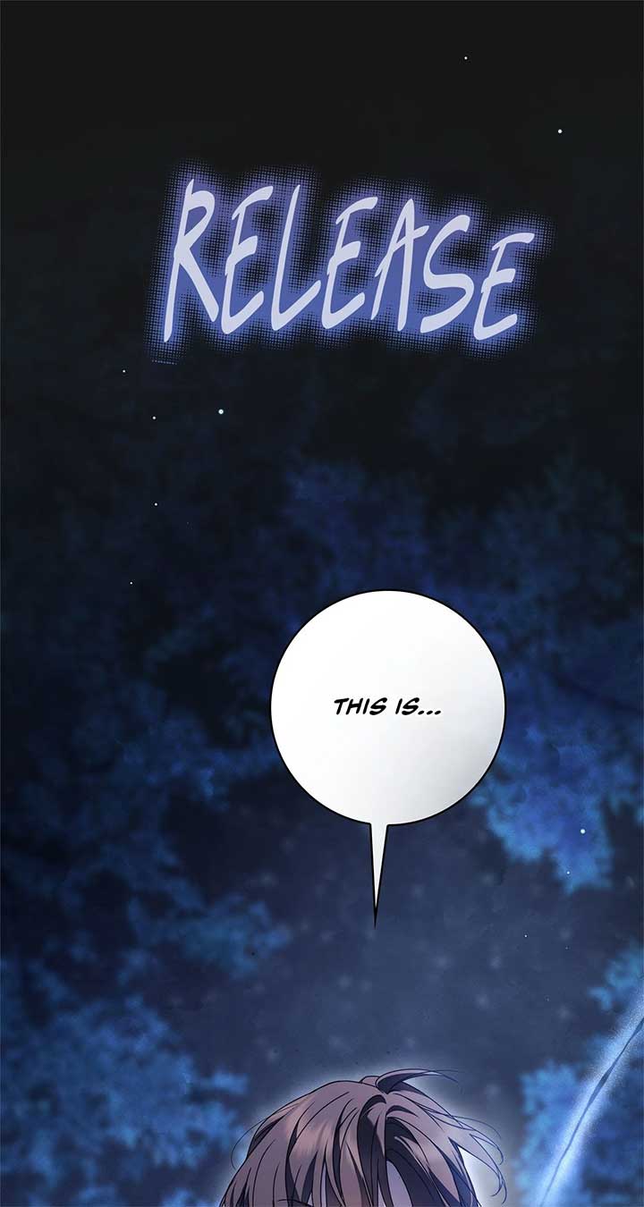 The Count’s Secret Maid Chapter 47 291 17