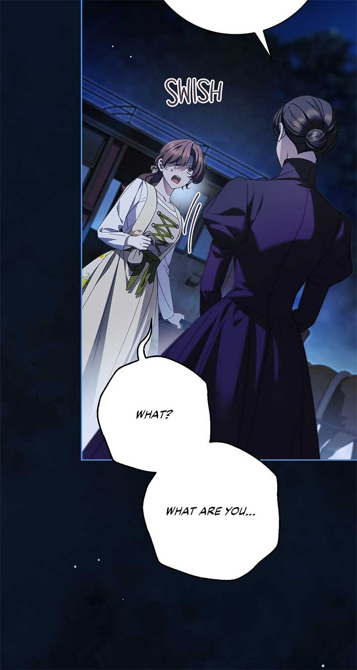 The Count’s Secret Maid Chapter 47 293 19