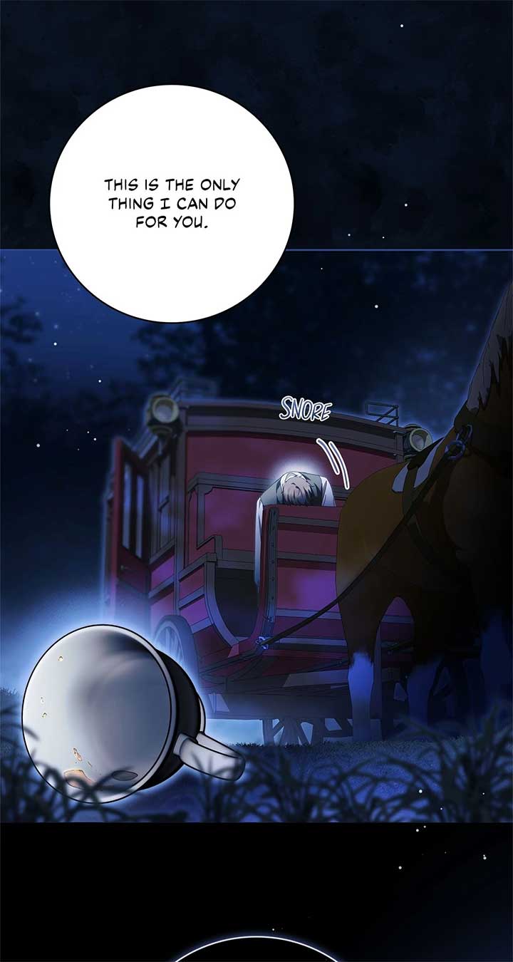 The Count’s Secret Maid Chapter 47 294 20