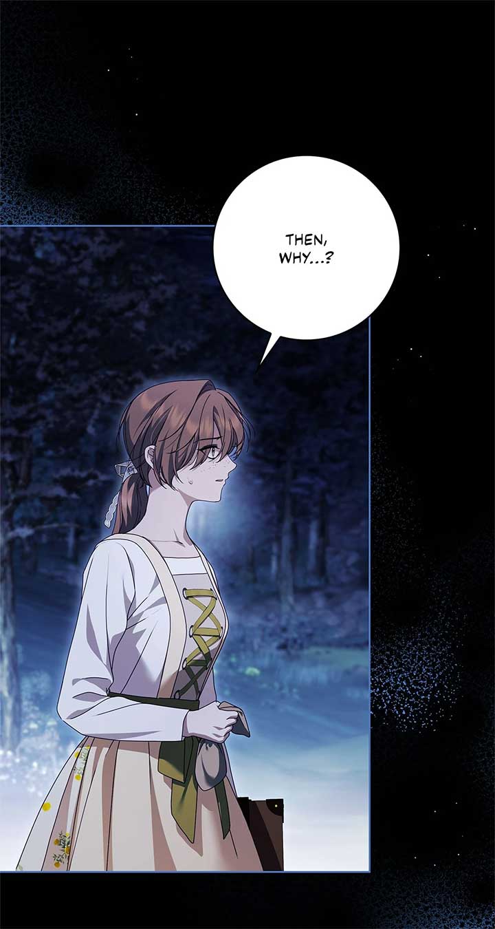 The Count’s Secret Maid Chapter 47 307 33