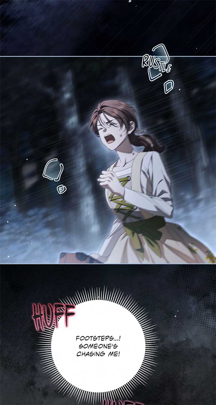 The Count’s Secret Maid Chapter 47 320 46