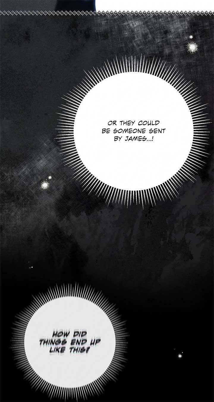 The Count’s Secret Maid Chapter 47 324 50