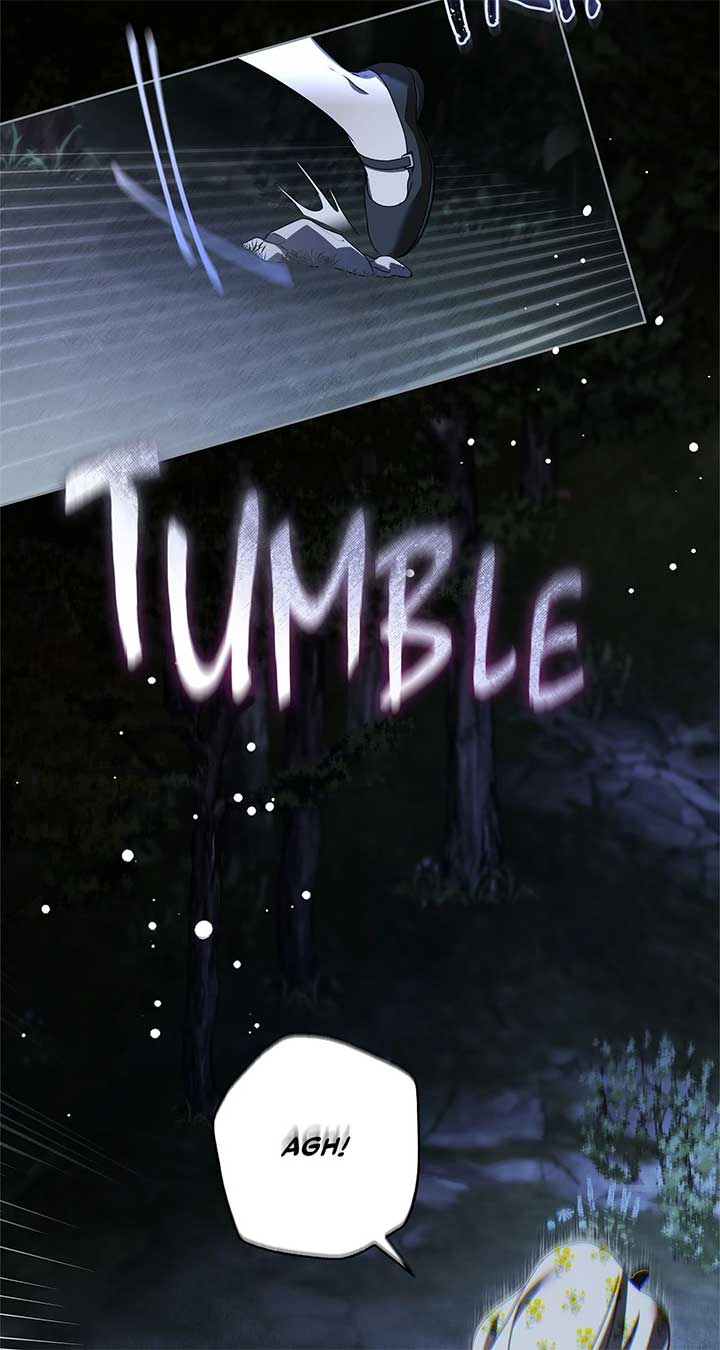 The Count’s Secret Maid Chapter 47 328 54