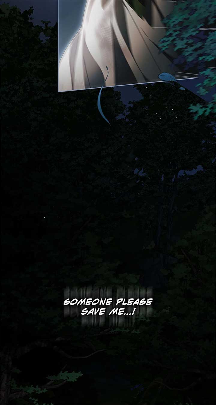 The Count’s Secret Maid Chapter 47 334 60