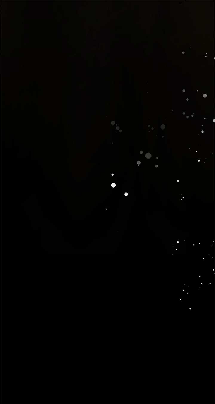 The Count’s Secret Maid Chapter 47 337 63