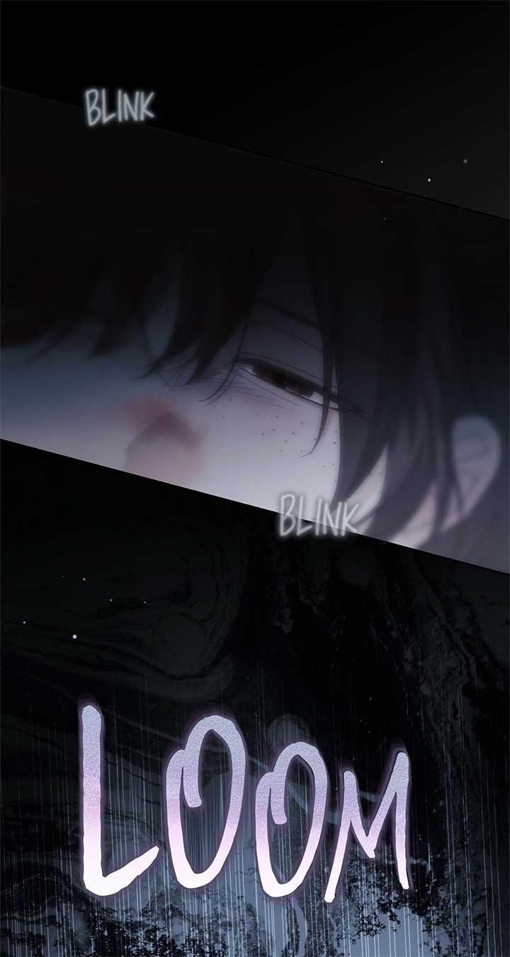 The Count’s Secret Maid Chapter 47 340 66