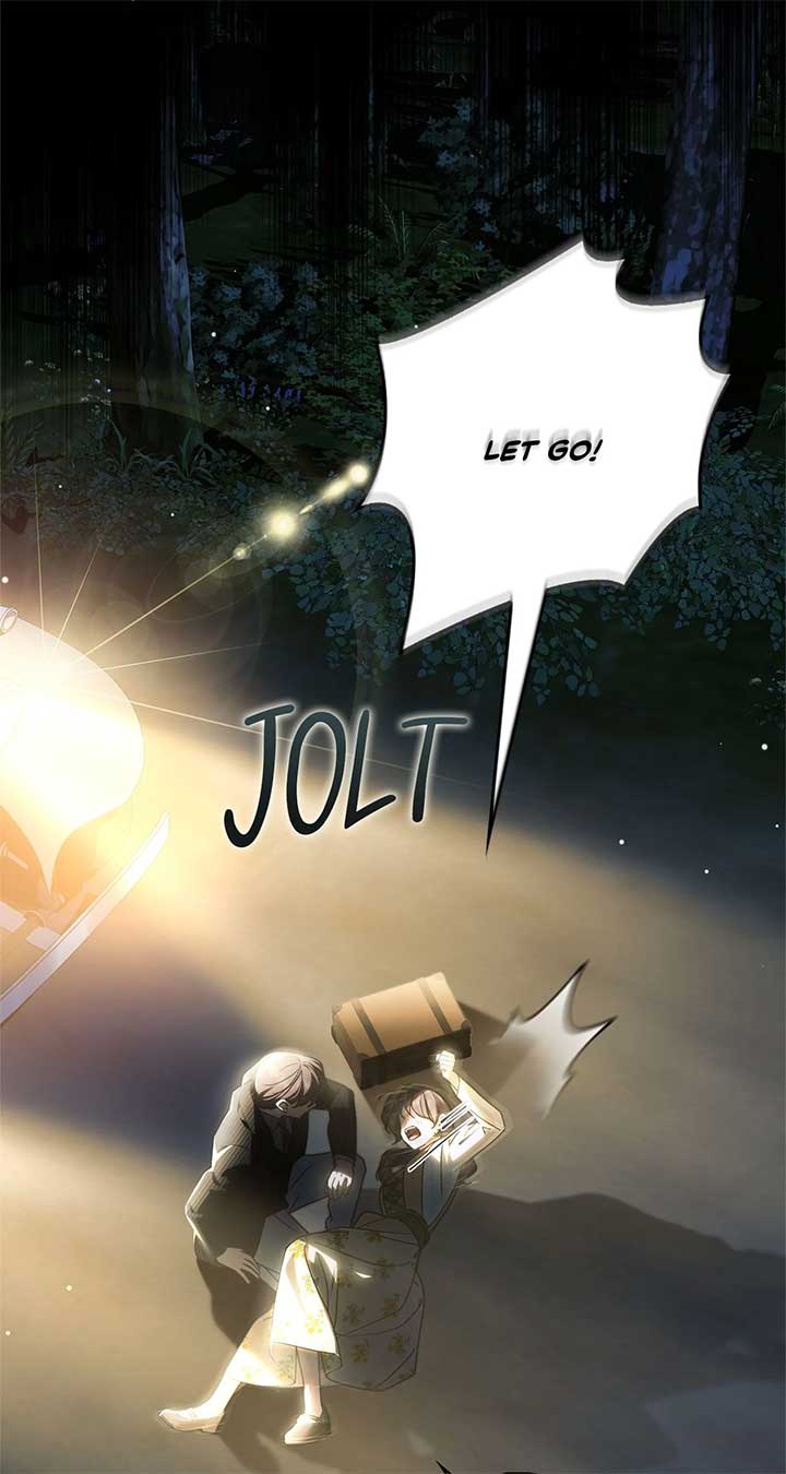 The Count’s Secret Maid Chapter 47 342 68