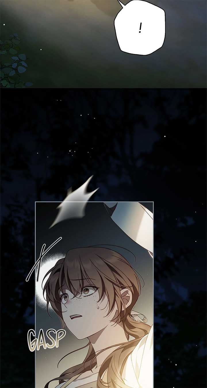 The Count’s Secret Maid Chapter 47 343 69