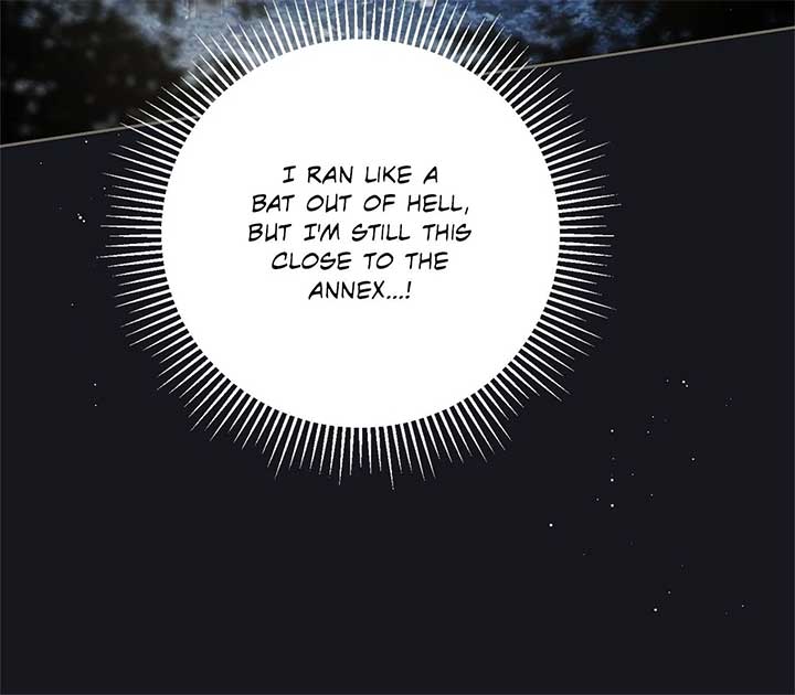 The Count’s Secret Maid Chapter 47 353 79