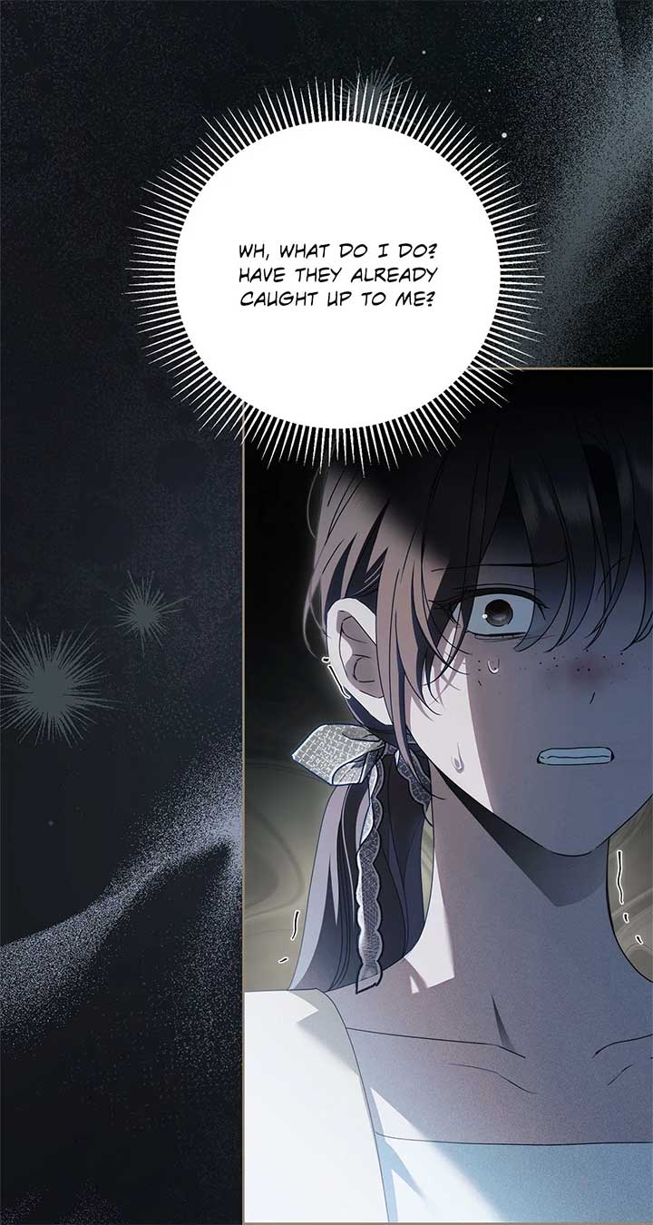 The Count’s Secret Maid Chapter 47 356 82