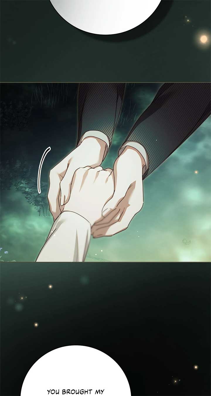 The Count’s Secret Maid Chapter 49 424 027