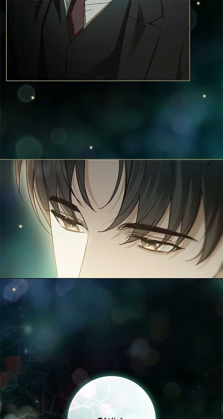 The Count’s Secret Maid Chapter 49 430 033