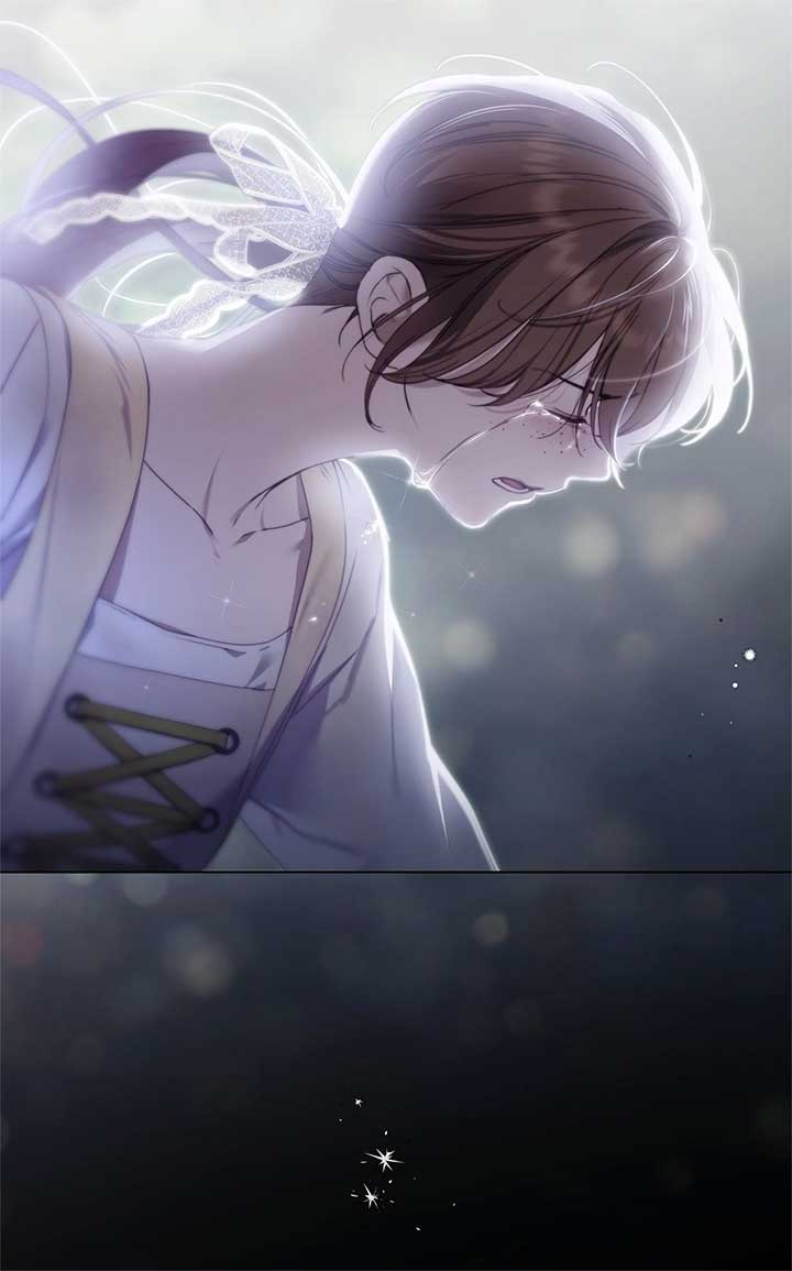 The Count’s Secret Maid Chapter 49 453 056