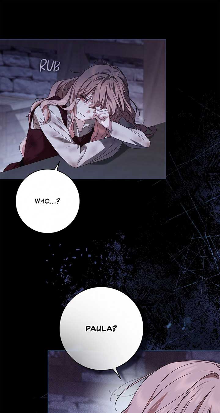 The Count’s Secret Maid Chapter 49 478 081