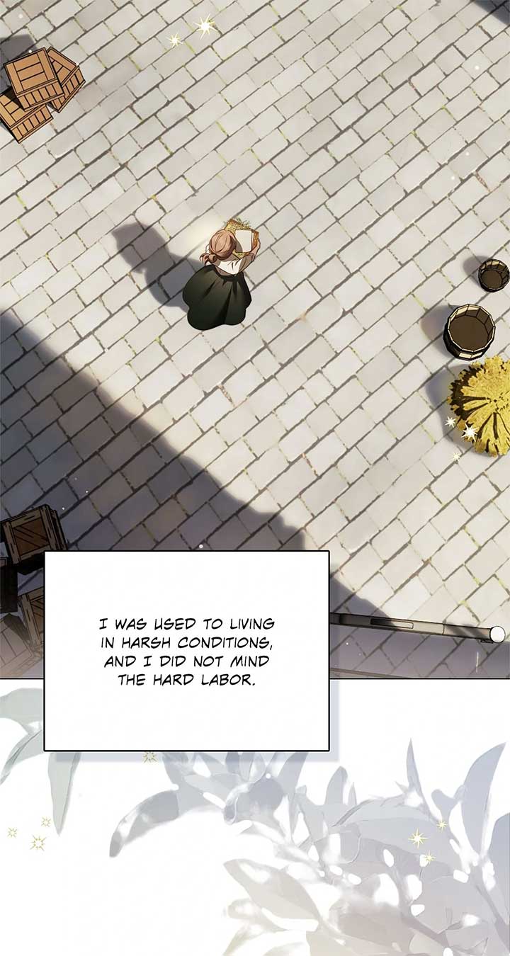 The Count’s Secret Maid Chapter 49 499 102