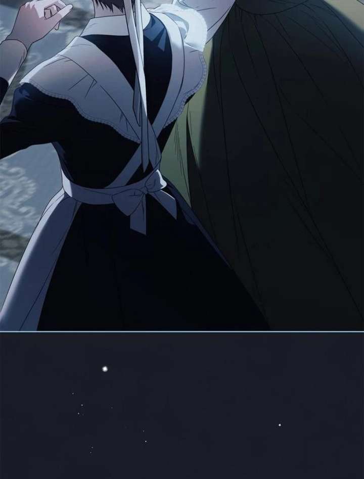 The Count’s Secret Maid Chapter 57 532 054