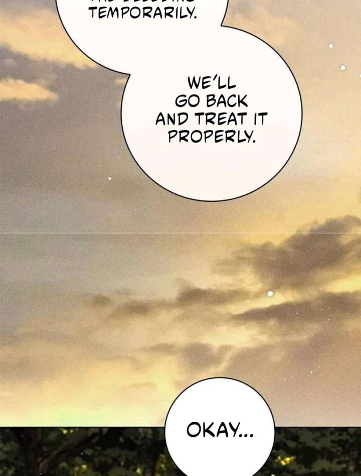 The Count’s Secret Maid Chapter 57 586 108