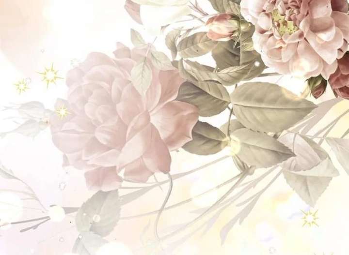 The Count’s Secret Maid Chapter 57 634 156