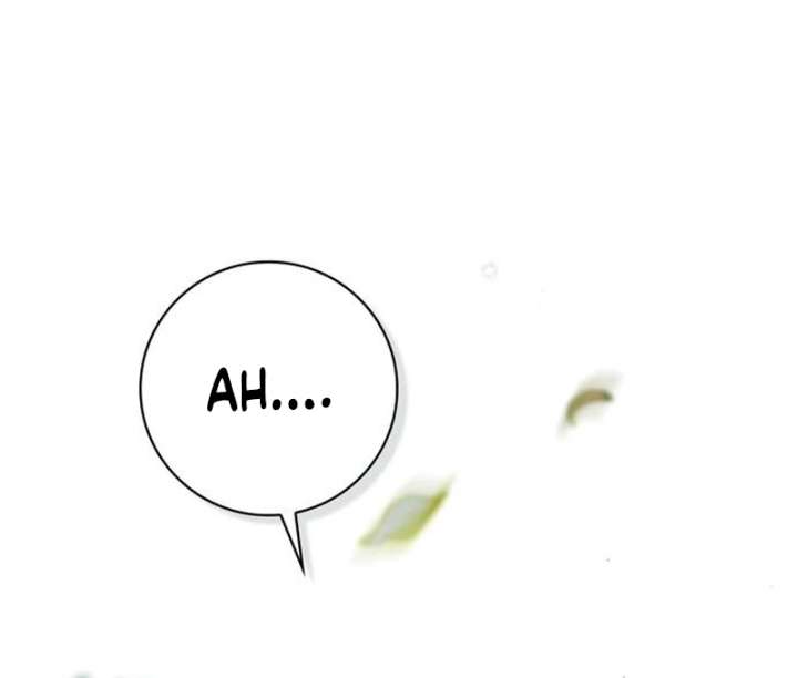 The Count’s Secret Maid Chapter 58 629 109