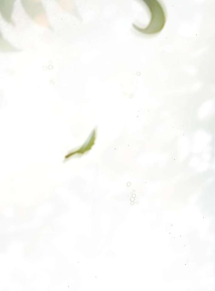 The Count’s Secret Maid Chapter 58 636 116