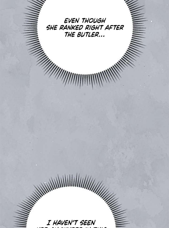 The Count’s Secret Maid Chapter 58 649 129