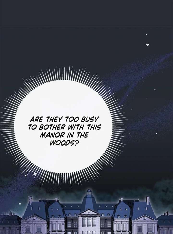 The Count’s Secret Maid Chapter 58 652 132