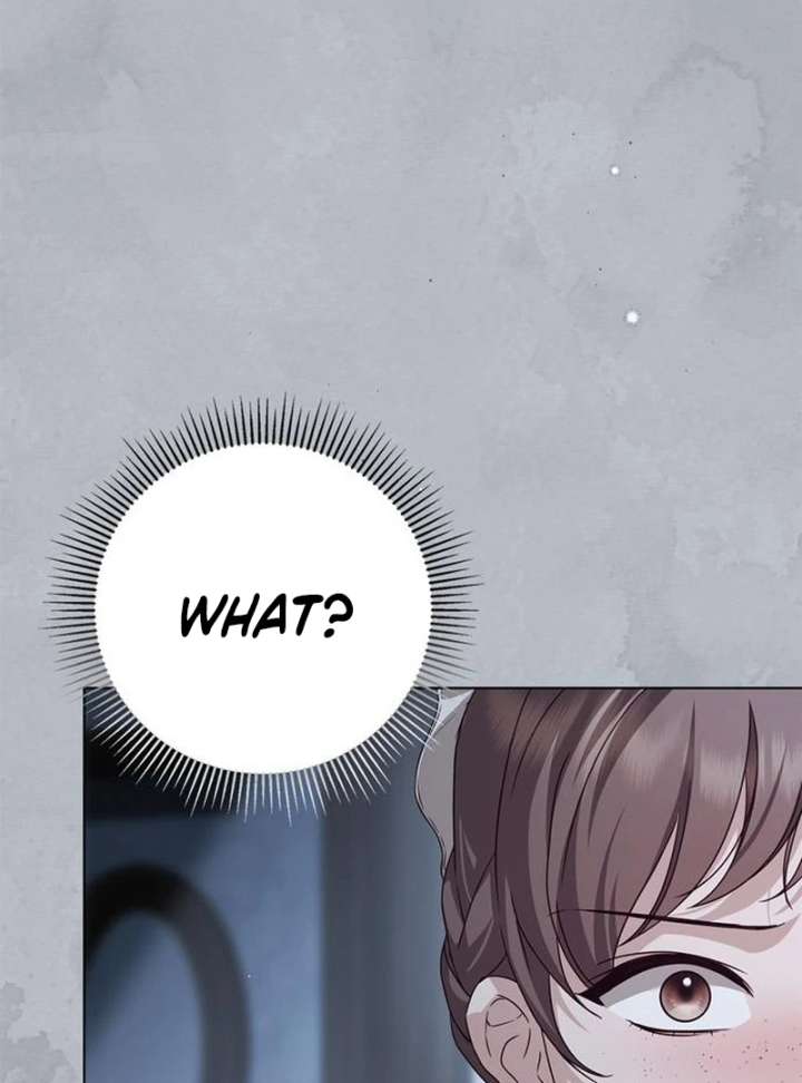 The Count’s Secret Maid Chapter 58 673 153