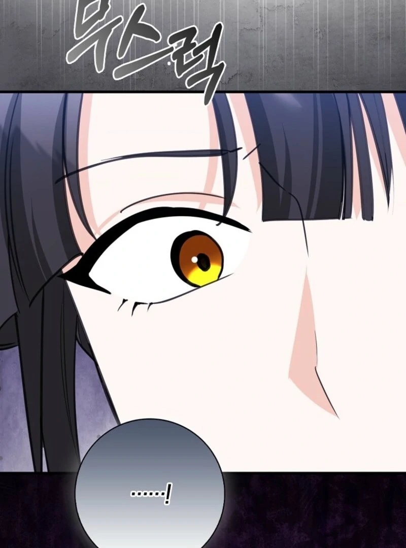 The Crazy Killer Whale’s Favourite Penguin Chapter 60 446 076