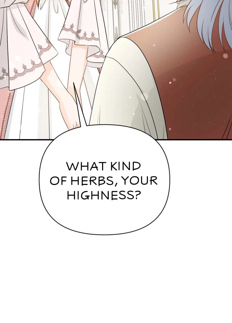 The Crown Prince’s Maid Makes Tea Very Well Chapter 44 282 50