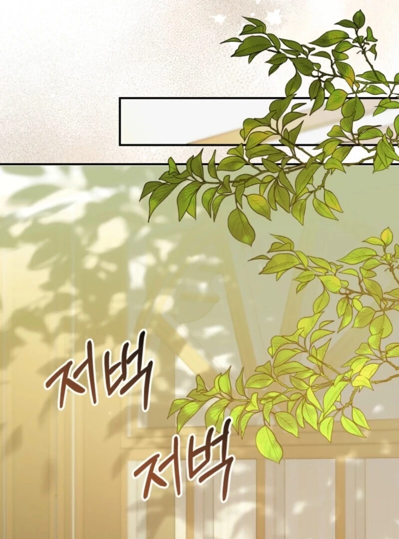 The Daughter of a Rogue Successor! Chapter 42 443 034