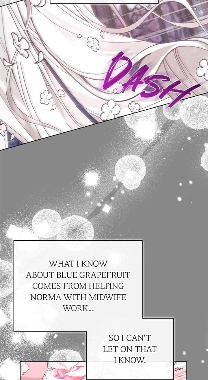 The Day The Real One Appeared Chapter 26 245 16