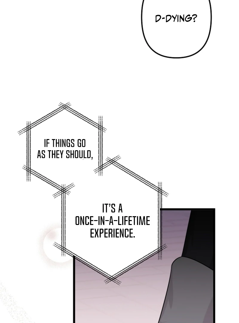 The Dead Ending Collector Maid Chapter 2 499 ch 2 96