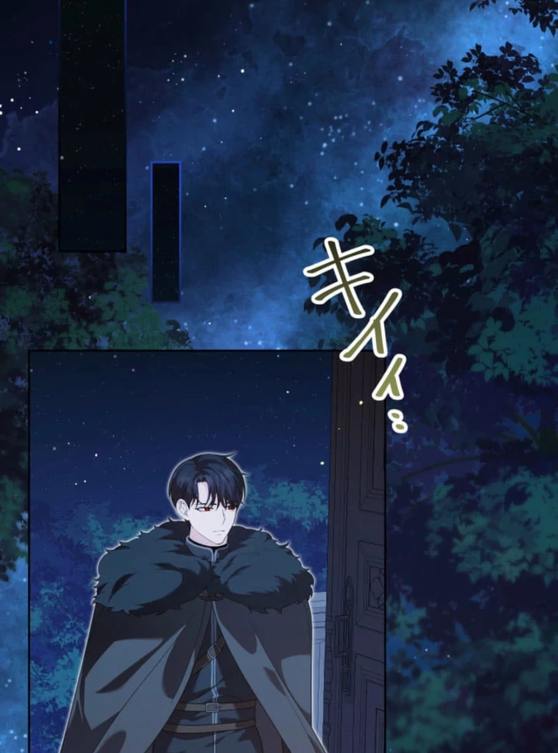 The Demon Duke’s Favor Begins the Second Time Around Chapter 12 411 002