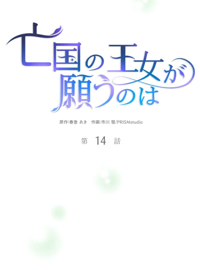 The Desire of the Princess from a Fallen Kingdom Chapter 14 360 017