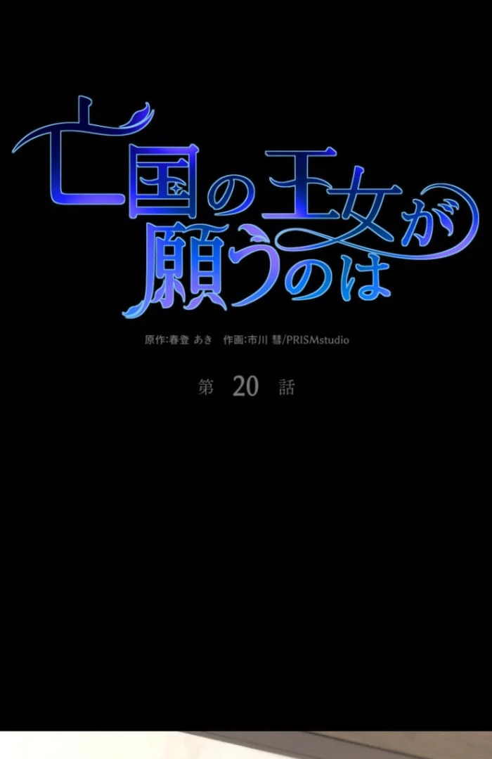 The Desire of the Princess from a Fallen Kingdom Chapter 20 336 020