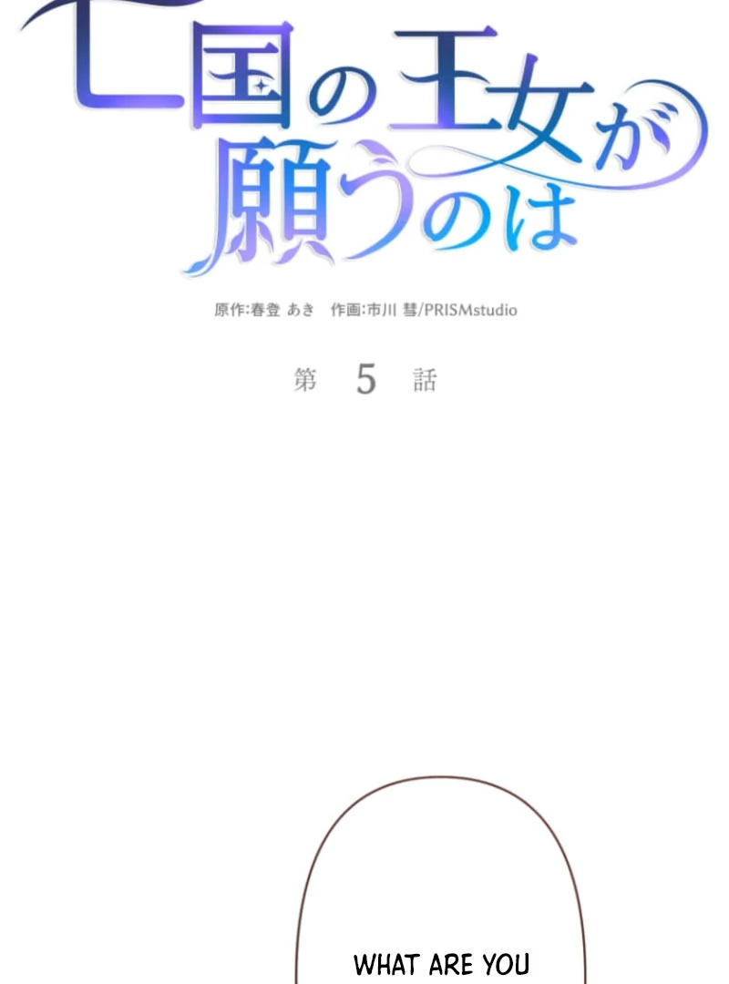 The Desire of the Princess from a Fallen Kingdom Chapter 5 325 019