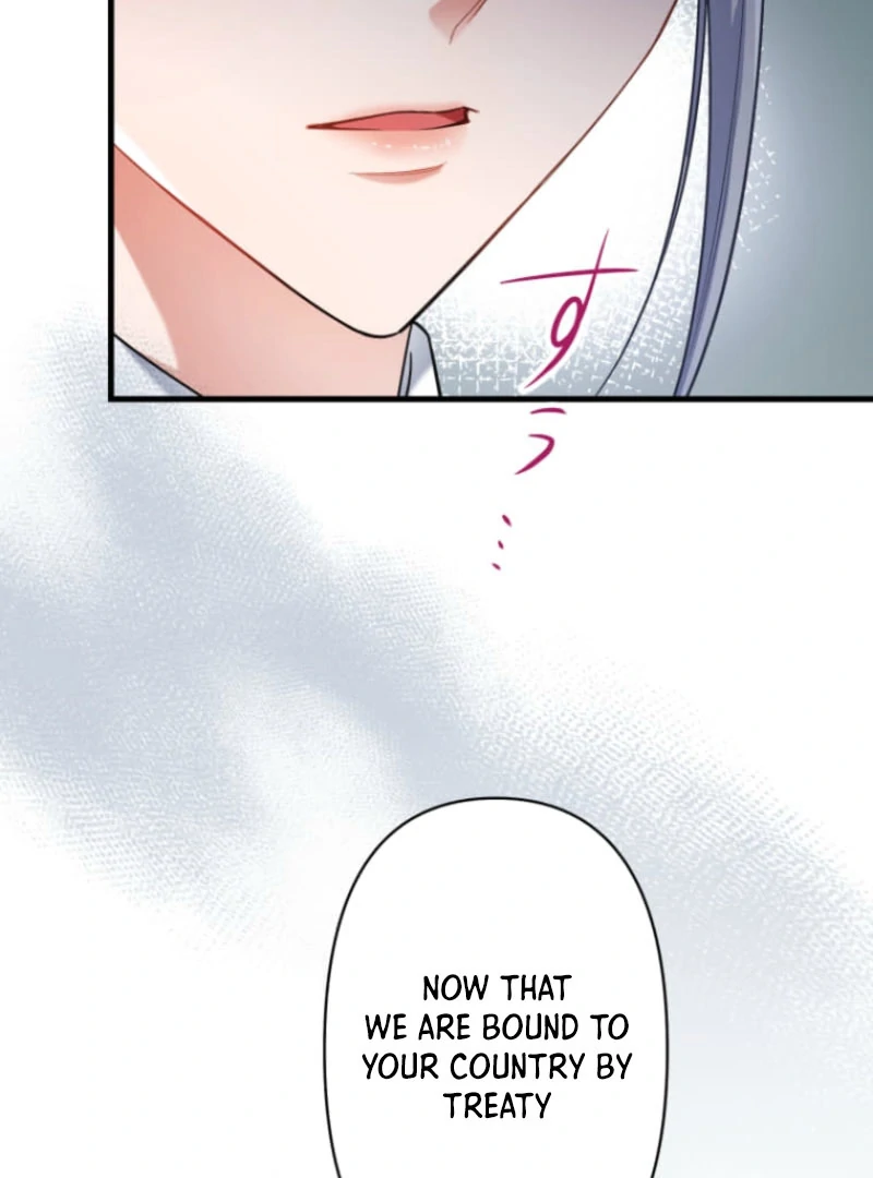 The Desire of the Princess from a Fallen Kingdom Chapter 5 348 042