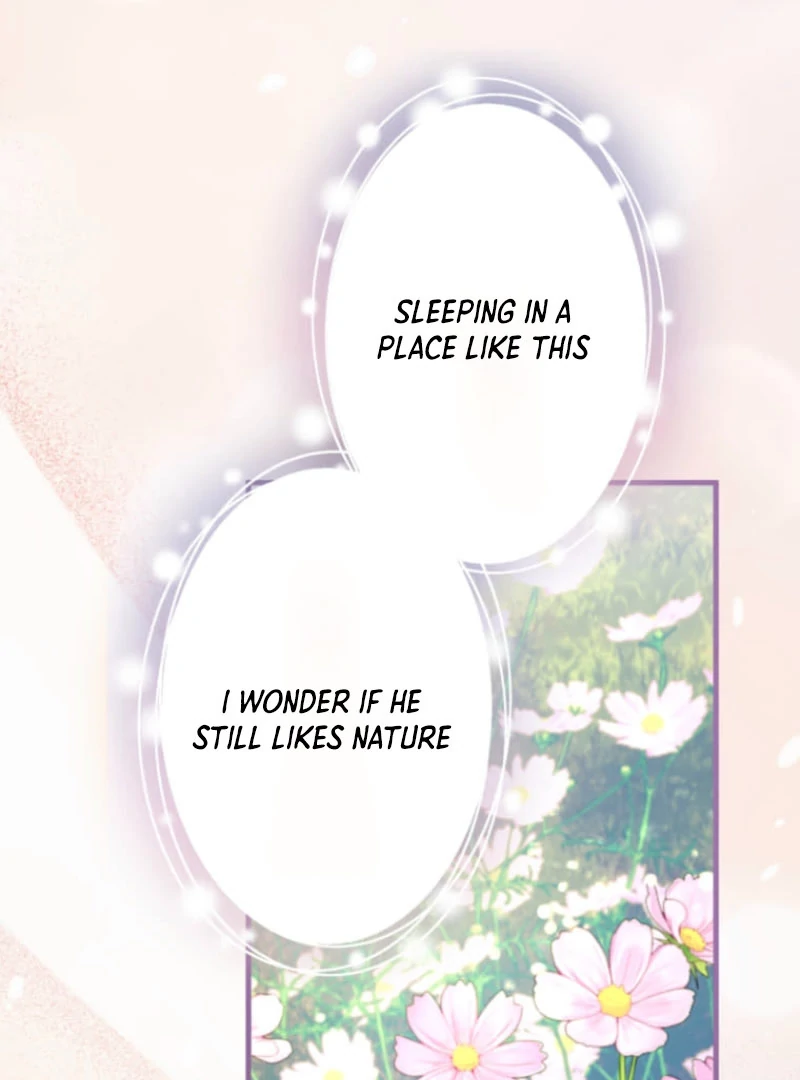 The Desire of the Princess from a Fallen Kingdom Chapter 5 387 081