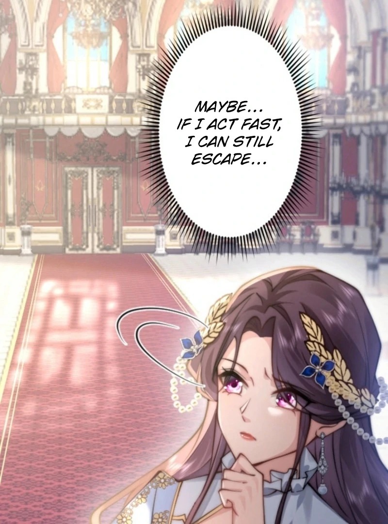 The Dowager’s Radiant Rise Chapter 1 353 ch 1 19