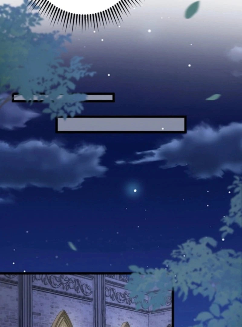 The Dowager’s Radiant Rise Chapter 1 383 ch 1 49