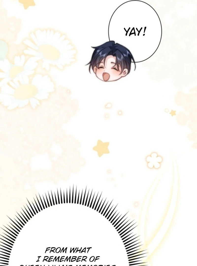 The Dowager’s Radiant Rise Chapter 1 392 ch 1 58