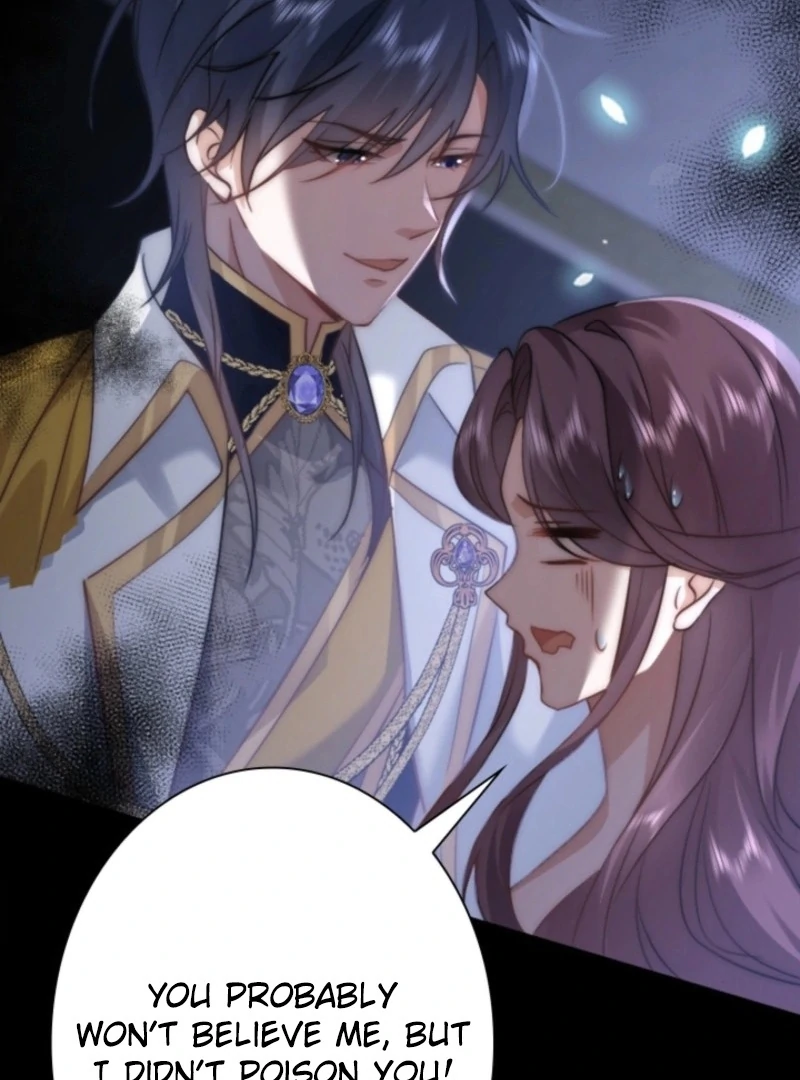 The Dowager’s Radiant Rise Chapter 1 412 ch 1 78