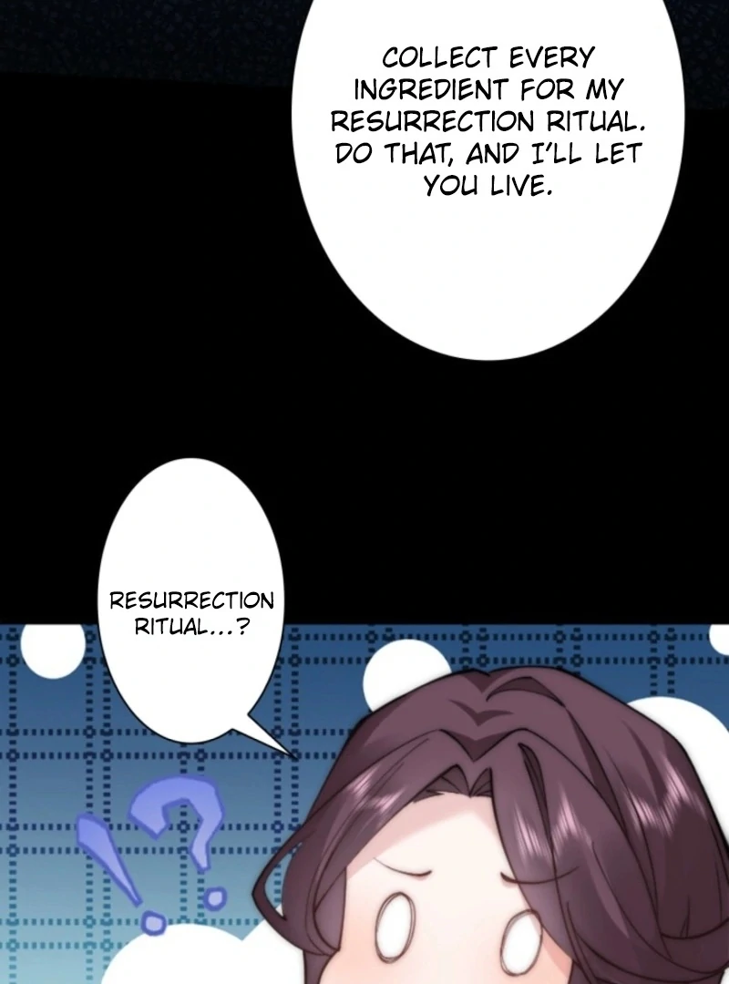 The Dowager’s Radiant Rise Chapter 1 422 ch 1 88