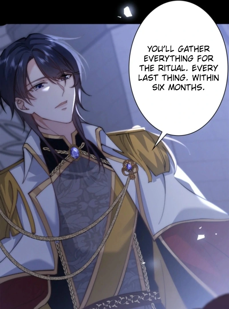 The Dowager’s Radiant Rise Chapter 1 426 ch 1 92