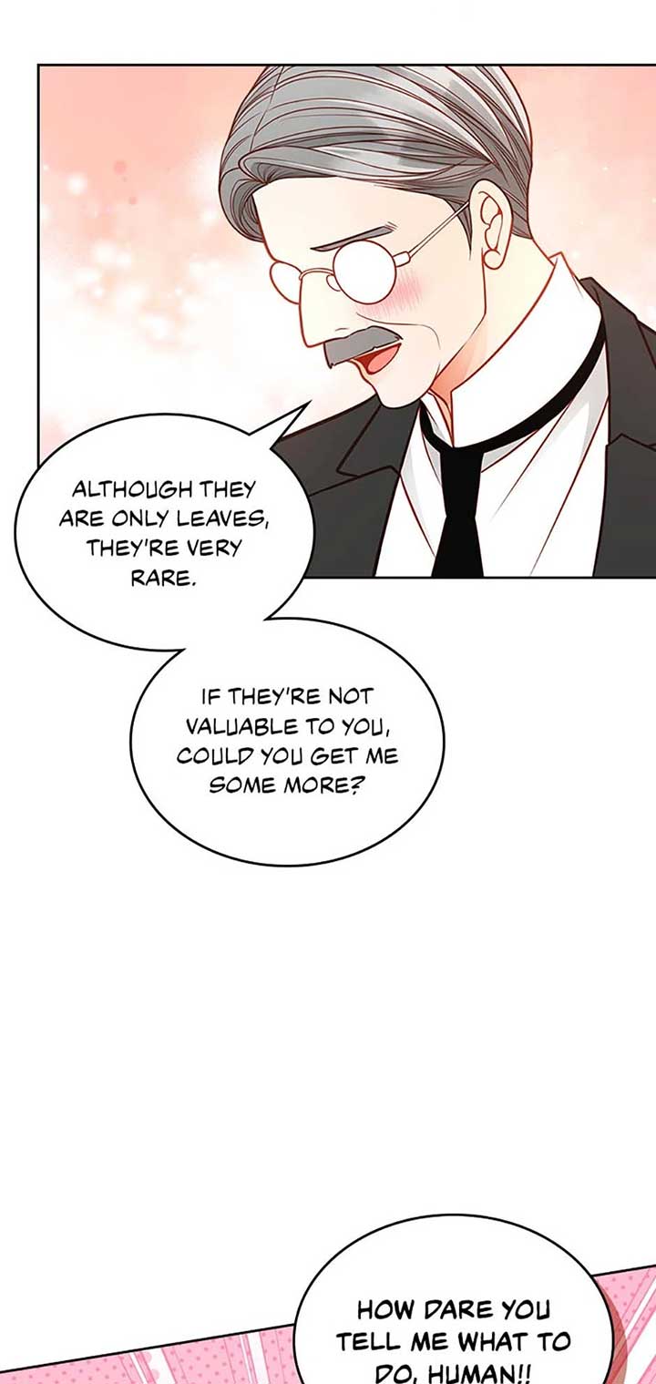 The Duchess’s Secret Dressing Room Chapter 102 276 ch 102 41